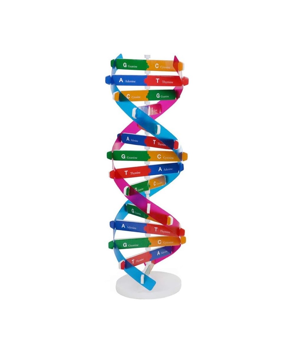 Kids DNA Model Kit Genes DNA Models Double Helix Science Popularization Teaching Aids $16.76 Educational Science Kits