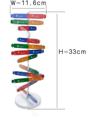 Kids DNA Model Kit Genes DNA Models Double Helix Science Popularization Teaching Aids $16.76 Educational Science Kits