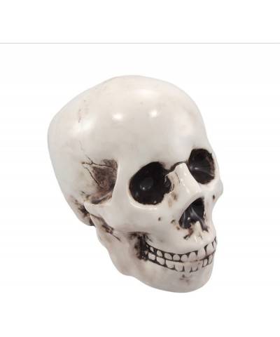 Pacific Giftware Skull Skeleton Savings Piggy/Coin/Money Bank 6" H White $24.70 Kids' Money Banks