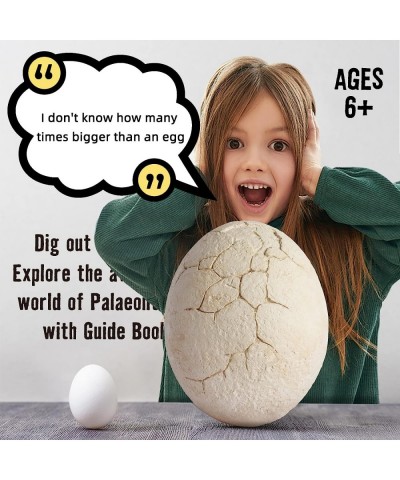 Dinosaur Eggs - 12 Unique Dinosaur Toys & 1 Assembled Dinosaur - Archaeological Toys to Explore and Learn - Great Gifts for B...