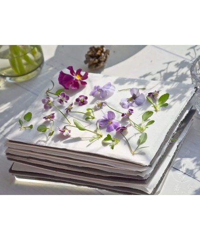 Flower Press Kit 6 x 8 inch 6 Layers DIY Specimen with instrutions Brown 2110FPK01 $38.93 Craft Kits