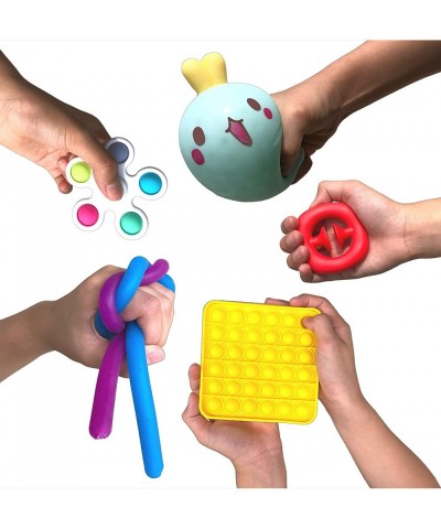 Sensory Fidget Toy Pack Set | Fidget Pop-It Sets | Anxiety Depression & Stress Relief | Squeeze - Stretch - Pop it - Spin Toy...