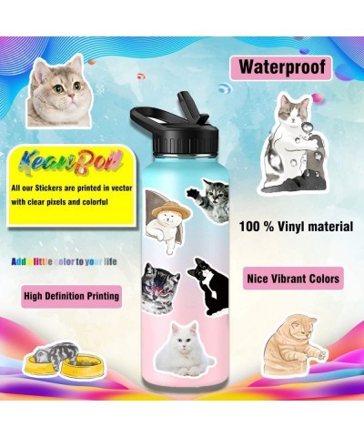 200pcs Cute Cat Stickers Pack for Water Bottle Laptop $14.94 Kids' Stickers