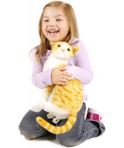 Tobias The Orange Tabby Cat - 12 Inch Stuffed Animal Plush - by Tiger Tale Toys $32.65 Stuffed Animals & Teddy Bears