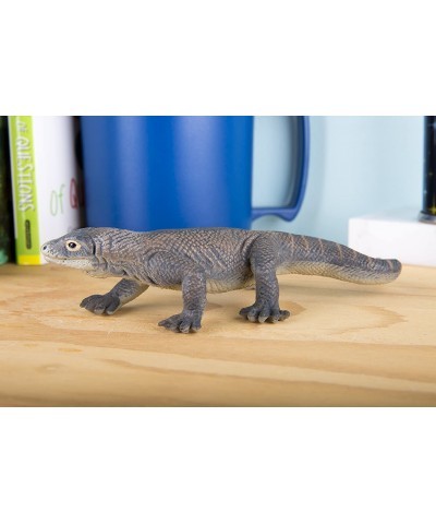 | Wild Wildlife Collection | Komodo Dragon $15.34 Kids' Play Animal Figures