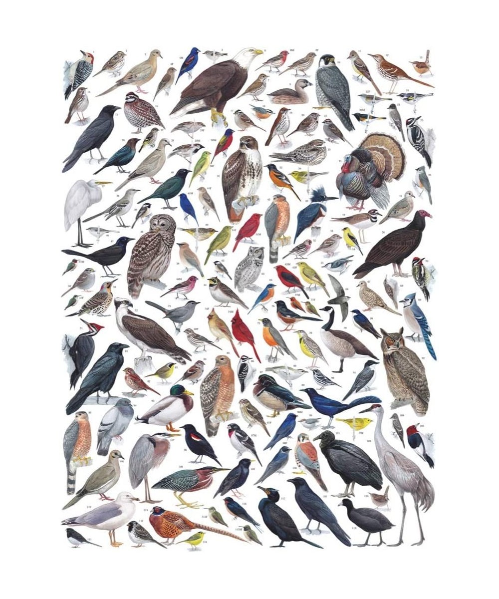 Cornell Lab Birds of Eastern/Central North America - 1000 Piece Jigsaw Puzzle $43.90 Jigsaw Puzzles