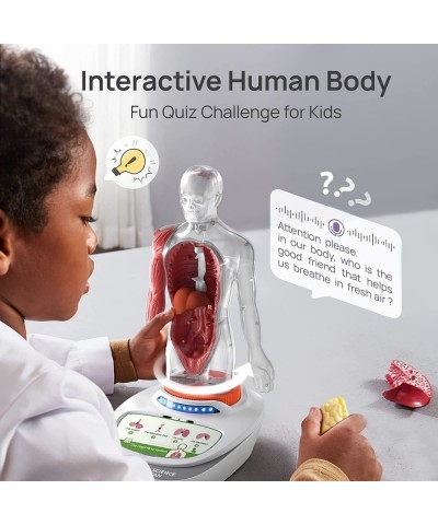 Human Body Model for Kids Interactive Human Anatomy Talking Model - 11 Inch Realistic Anatomical Assembly Kit 15PCS Removable...