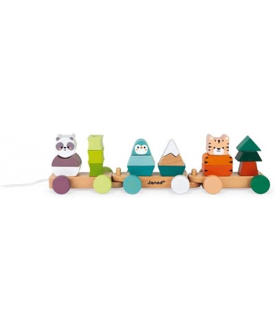 World Wildlife Federation - Pull Along 21 Piece Animal Stacking Train - Ages 2+ - J08603 $60.17 Early Development & Activity ...