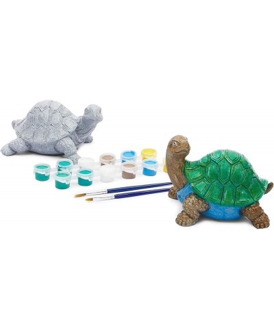 Turtle Pet Rock Painting Kit with 12 Paint Pods 2 Paint Brushes and 2 Turtles (2 Sets 16 Pieces) $34.51 Craft Kits