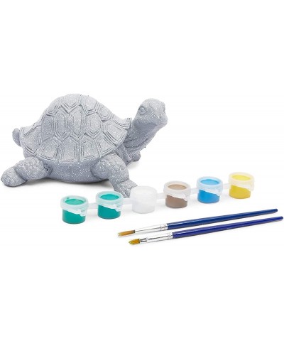 Turtle Pet Rock Painting Kit with 12 Paint Pods 2 Paint Brushes and 2 Turtles (2 Sets 16 Pieces) $34.51 Craft Kits