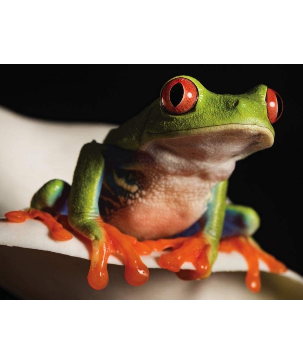 National Geographic Red-Eyed Tree Frog Mini - 100 Piece Jigsaw Puzzle $25.92 Jigsaw Puzzles