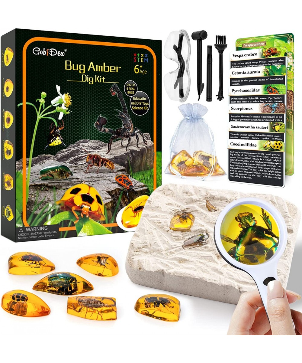 Amber Dig Kit-Artificial Insect Resin Excavate 6 Insects Specimens STEM Geographic Educational Bugs Toys Excavation Toys Scie...