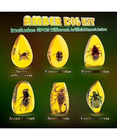 Amber Dig Kit-Artificial Insect Resin Excavate 6 Insects Specimens STEM Geographic Educational Bugs Toys Excavation Toys Scie...