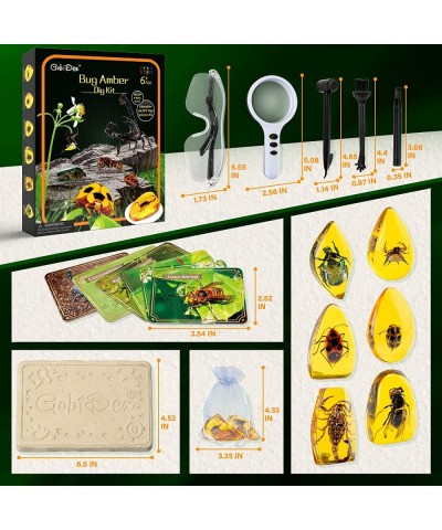 Amber Dig Kit-Artificial Insect Resin Excavate 6 Insects Specimens STEM Geographic Educational Bugs Toys Excavation Toys Scie...