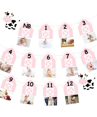 Cow 12 Month Photo Banner 1st Birthday Party Decoration One Cake Smash Pink Farmhouse Animal Photo Backdrop Supplies $21.19 K...