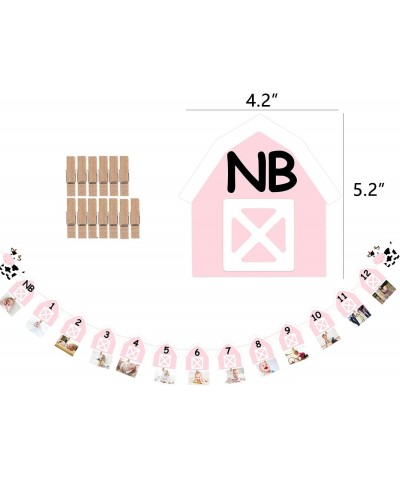 Cow 12 Month Photo Banner 1st Birthday Party Decoration One Cake Smash Pink Farmhouse Animal Photo Backdrop Supplies $21.19 K...