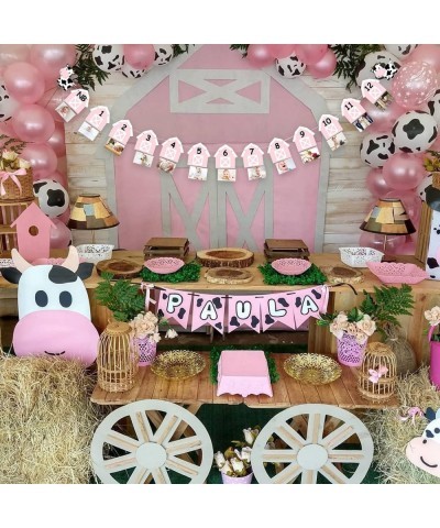 Cow 12 Month Photo Banner 1st Birthday Party Decoration One Cake Smash Pink Farmhouse Animal Photo Backdrop Supplies $21.19 K...