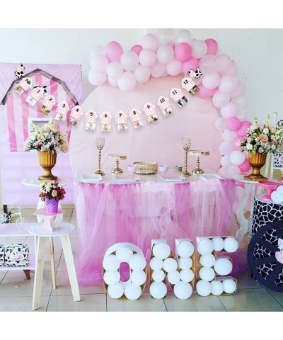 Cow 12 Month Photo Banner 1st Birthday Party Decoration One Cake Smash Pink Farmhouse Animal Photo Backdrop Supplies $21.19 K...