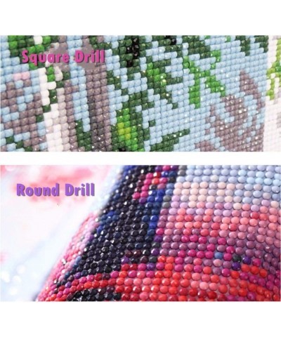 Full Drill 5d Diamond Painting Kits Cross Stitch Craft Kit New DIY Kits for Kids Adults Paint by Number Kits (Bath 25x30cm Ro...