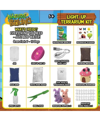 Light-Up Terrarium Kit with LED Light for Kids - Includes Puppy Animal Theme - STEM Science Kit for Boys & Girls - Plant Gard...