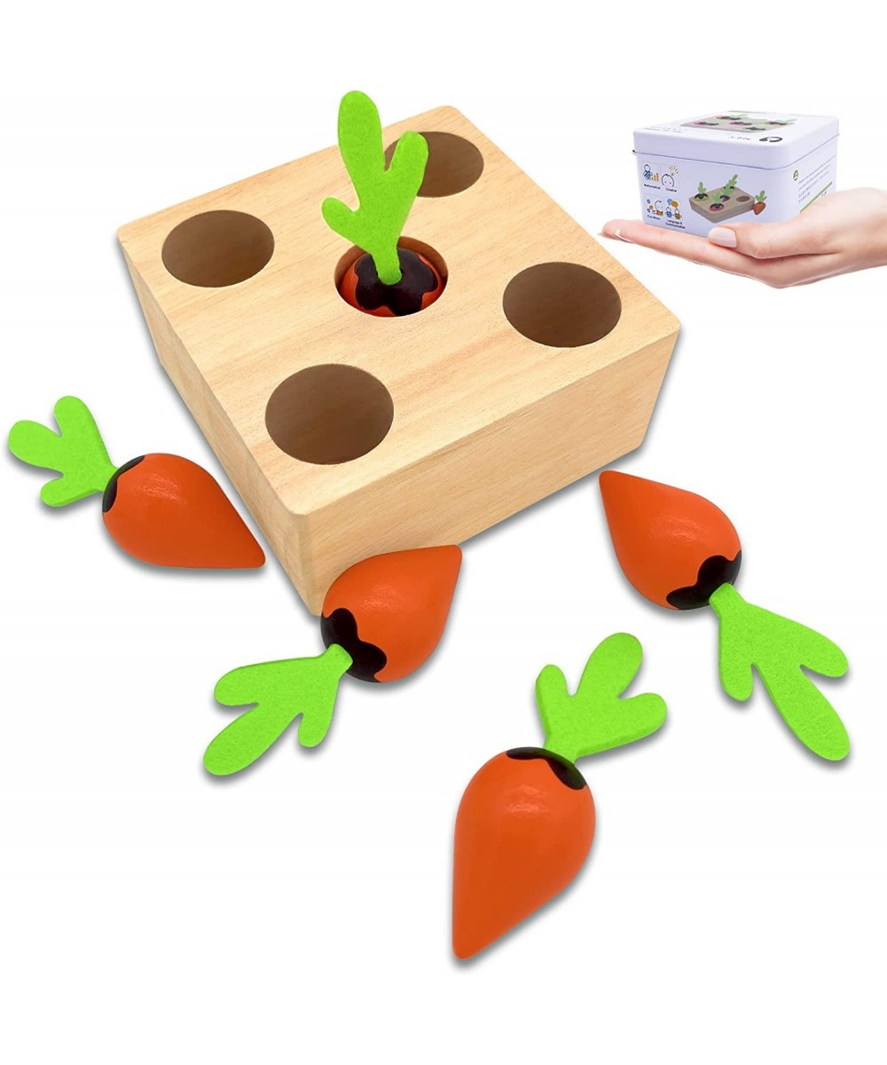 Montessori Toys for Toddlers 4 Years Old Shape Sorting Matching Puzzle Toy with Carrots Travel Toys in Tin Box for 4 Year Old...