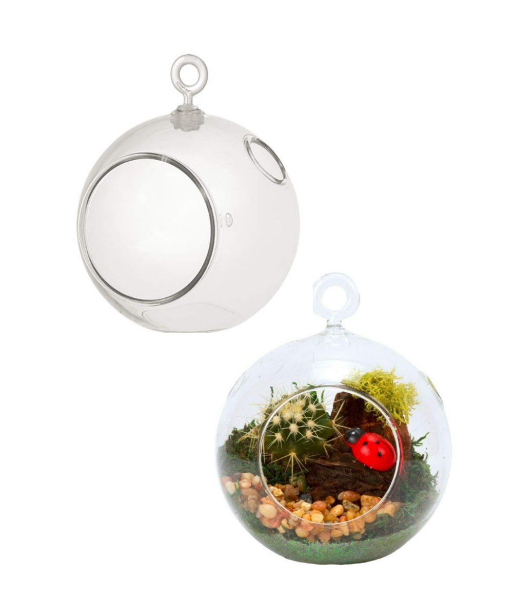 Terrarium globe - Plastic Terrarium (2 Pack) Clear Globe - Create Your Own Shatter-Proof Orb Terrarium Right at Home - Clear ...