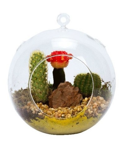 Terrarium globe - Plastic Terrarium (2 Pack) Clear Globe - Create Your Own Shatter-Proof Orb Terrarium Right at Home - Clear ...