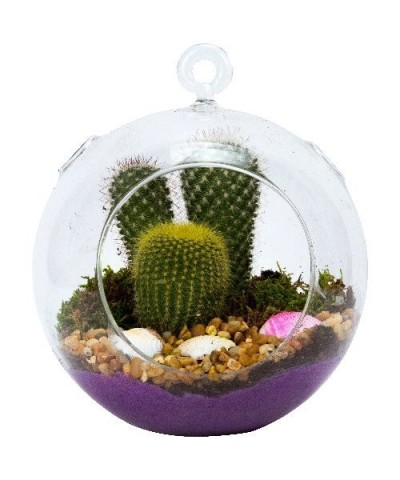 Terrarium globe - Plastic Terrarium (2 Pack) Clear Globe - Create Your Own Shatter-Proof Orb Terrarium Right at Home - Clear ...