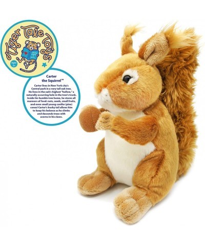 Carter The Squirrel - 8 Inch Stuffed Animal Plush - by Tiger Tale Toys $17.56 Stuffed Animals & Teddy Bears