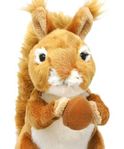 Carter The Squirrel - 8 Inch Stuffed Animal Plush - by Tiger Tale Toys $17.56 Stuffed Animals & Teddy Bears