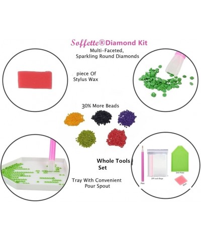 Soffette 5D Diamond Painting by Number Kits New DIY Diamond Painting Kit for Adults Cross Stitch Full Toolkit Embroidery Arts...