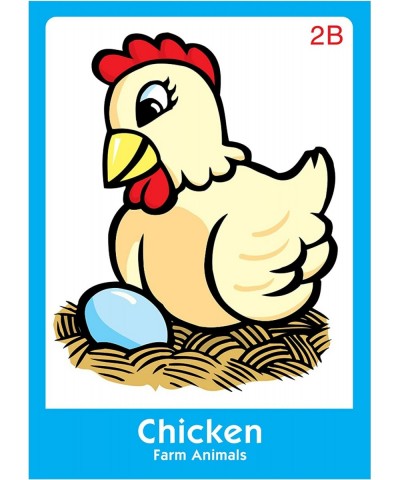 | Classifying Fun Deck Flash Cards | Educational Learning Resource for Children $30.71 Electronic Learning & Education Toys