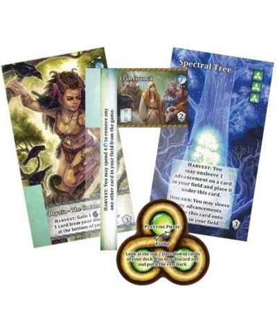 Mystic Vale Harmony Expansion - Card Game Card-Crafting Protect Nature with Magic Power Unique Clear Cards 2 to 4 Players 45 ...