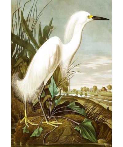 Mini Wooden Jigsaw Puzzle for Adults - Snowy Heron by John James Audubon - 50 Pieces. Made in The USA. $40.55 Jigsaw Puzzles