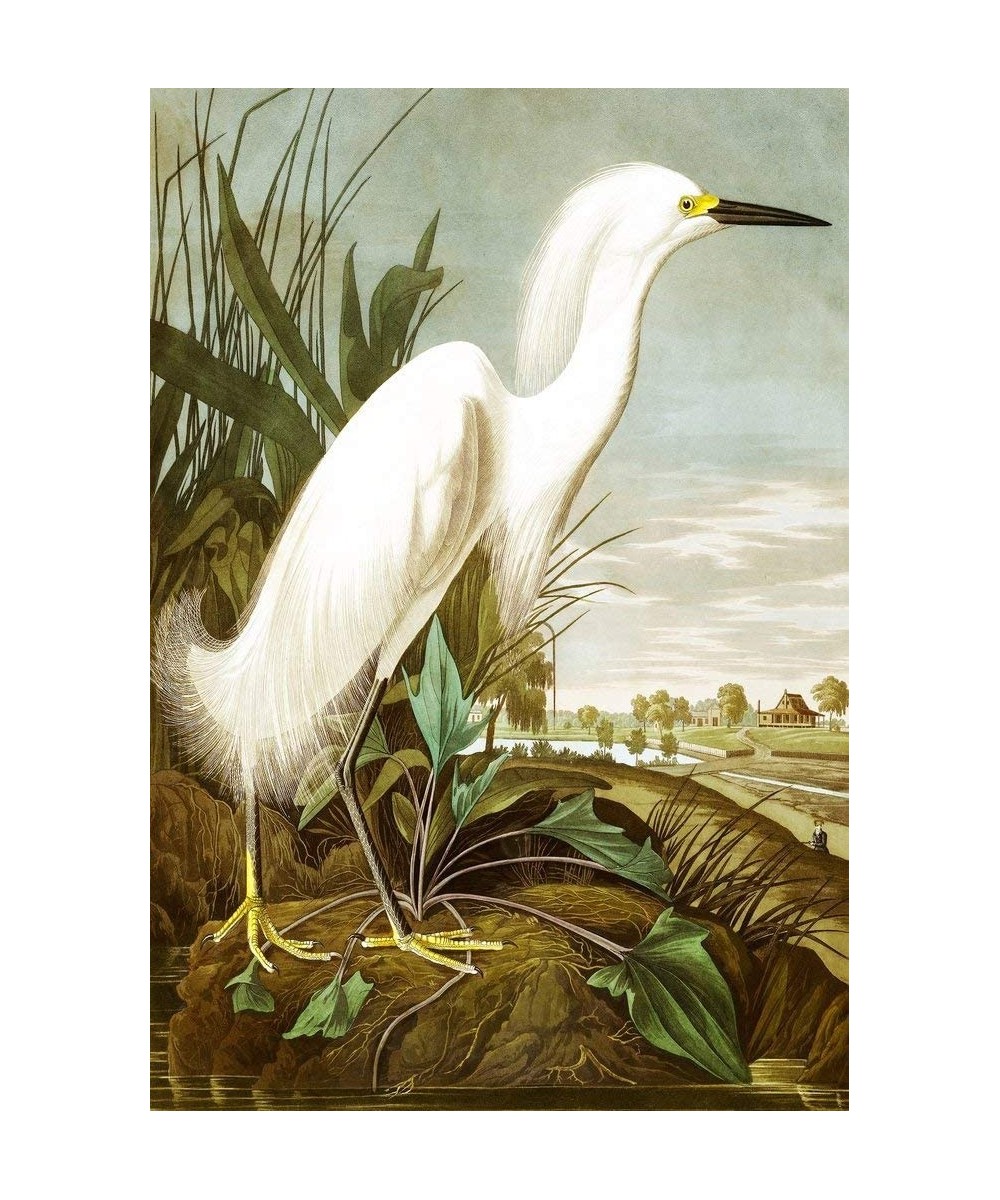 Mini Wooden Jigsaw Puzzle for Adults - Snowy Heron by John James Audubon - 50 Pieces. Made in The USA. $40.55 Jigsaw Puzzles