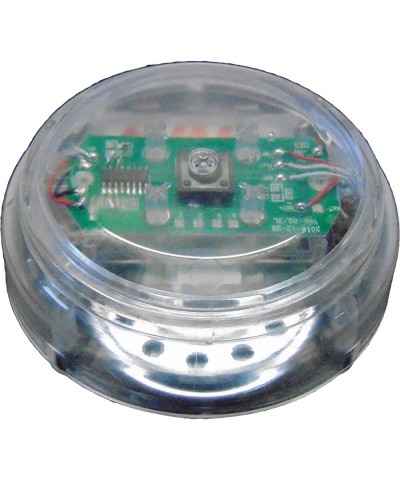 Transparent - The ONLY See Through Recordable Talking Button Record $32.79 Electronic Learning & Education Toys