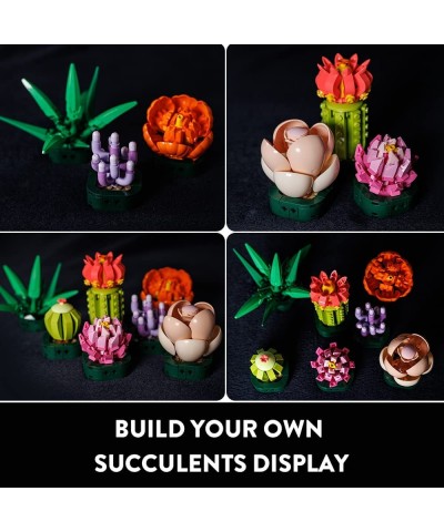 Succulents Plants Building Set - 7 Colorful Succulent Botanical Collection Display Set for Adults | Unique Flower Decor Ideas...