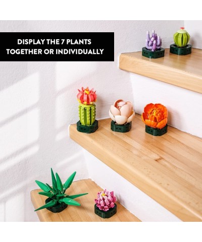 Succulents Plants Building Set - 7 Colorful Succulent Botanical Collection Display Set for Adults | Unique Flower Decor Ideas...