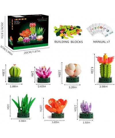 Succulents Plants Building Set - 7 Colorful Succulent Botanical Collection Display Set for Adults | Unique Flower Decor Ideas...