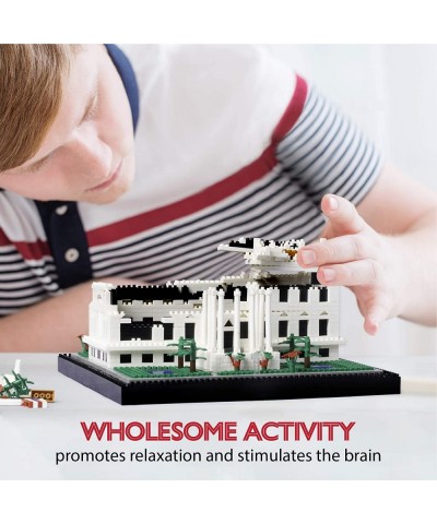 Architecture White House Micro Building Blocks (2300 Pieces) Creative Building Set for Adults and Teens. $42.96 Toy Building ...