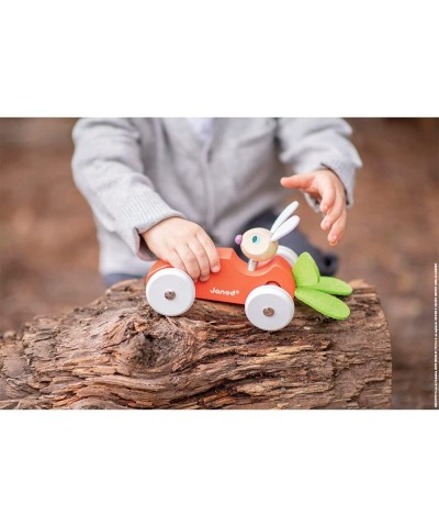 Wooden Rabbit Lapin Carrot Car Push Car - Ages 12 Months+ - J08247 $29.93 Early Development & Activity Toys