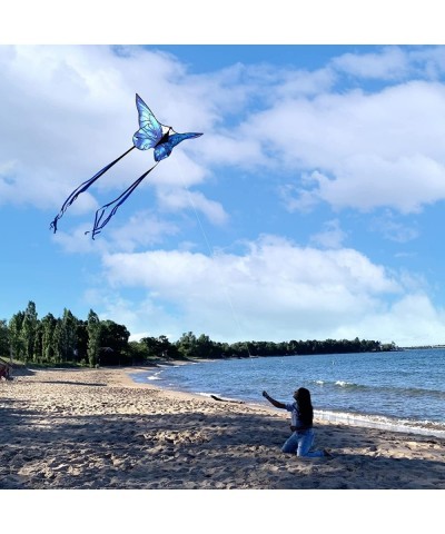 Butterfly Kite for Kids & Adults Easy to Fly 55" x 28" Large Single Line Kite for The Beach Easy Flying Kite Comes with 300 F...