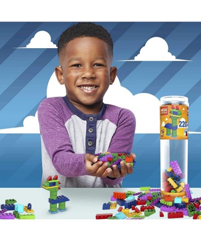 Construx Wonder Builder 220 pcs Building Tube Building Toys for Kids $22.19 Toy Building Sets