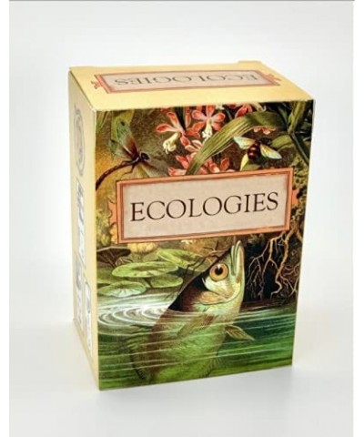 Ecologies Card Game - Gameplay Inspired by Nature - Use Science to Build Food Webs in Seven Unique Biomes - Beautiful Vintage...