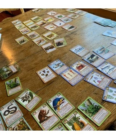 Ecologies Card Game - Gameplay Inspired by Nature - Use Science to Build Food Webs in Seven Unique Biomes - Beautiful Vintage...