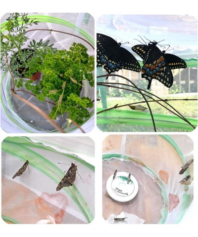 Pop-up Insect and Butterfly Habitat Cage Terrarium – 12 x 14 Inches Tall $22.13 Habitat Science Kits