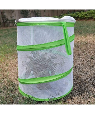 Pop-up Insect and Butterfly Habitat Cage Terrarium – 12 x 14 Inches Tall $22.13 Habitat Science Kits