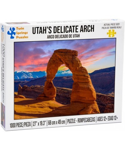 Twin Spring Goods 1000 Piece Jigsaw Puzzle Utah's Delicate Arch 1 000 pcs $23.91 Jigsaw Puzzles