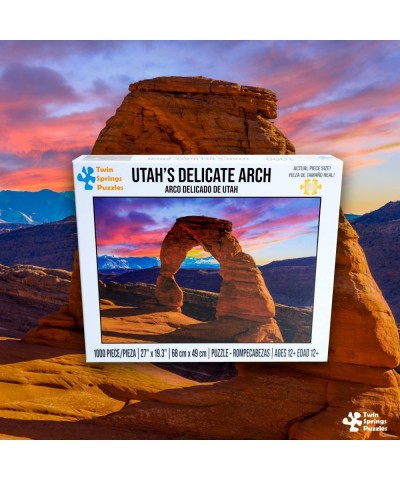 Twin Spring Goods 1000 Piece Jigsaw Puzzle Utah's Delicate Arch 1 000 pcs $23.91 Jigsaw Puzzles