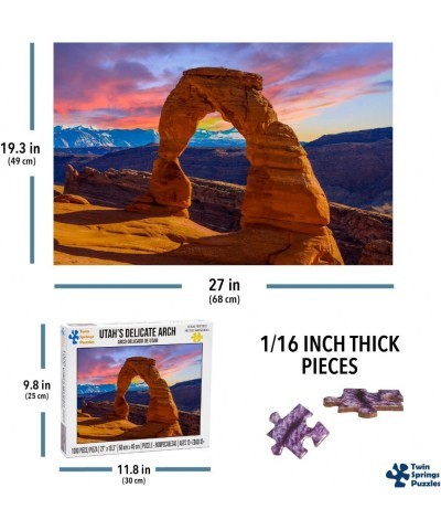 Twin Spring Goods 1000 Piece Jigsaw Puzzle Utah's Delicate Arch 1 000 pcs $23.91 Jigsaw Puzzles